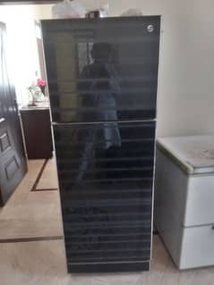 PEL PRGD 155 glass door fridge 16 cubic ft