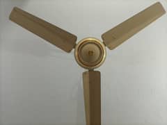 Ceiling Fan 56" Copper winding