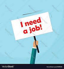 domestic jobs in all rounder cook; driver ; plus house helper