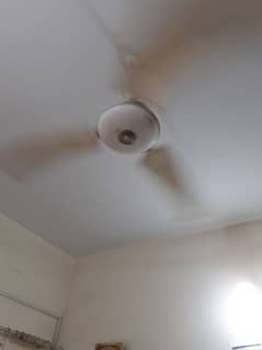 high speed fans  ,  brand "millat" life time guarantee , size 56" inch