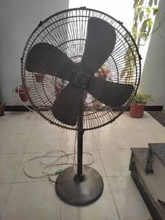 one padestal fan for sale condition neat and Clean