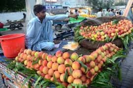 need a person for selling fruits & vegetables in Sargodha