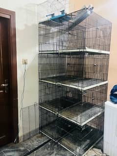 Birds Cage & Parrot cage