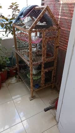 13 doves with eggs and cage
