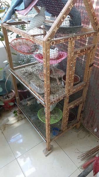 13 doves with eggs and cage 6