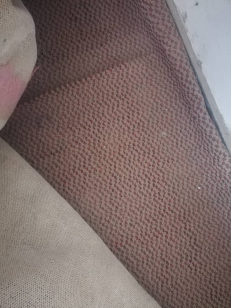 carpet with foam 0