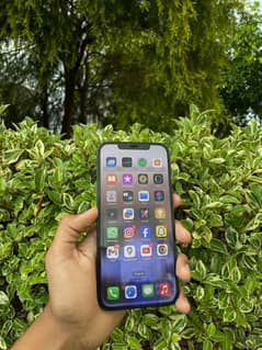IPHONE 12 PRO MAX 128GB WATER PACK