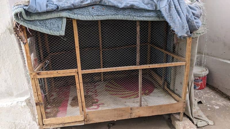wodden Cage For Sale 1
