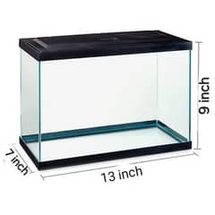 Mini Aquarium with sponge filter