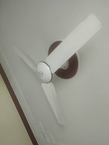 Urgent sell almost ceiling fan full size 56 inches. "COMPANY PAKFAN". 1