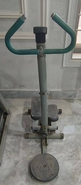 Exercise Machine with stepper and twister 3