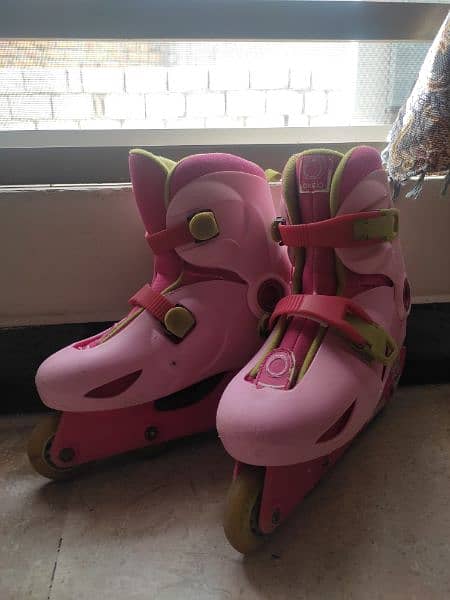 Skating Shoes 0