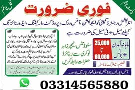 Argant Need Staff for office work