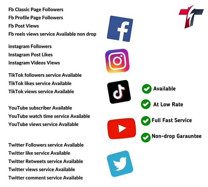 TikTok and all social media platforms service : 1