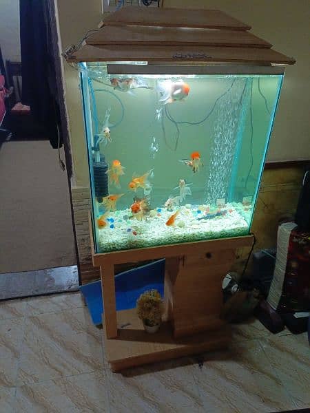 Complete aquarium with fish 0