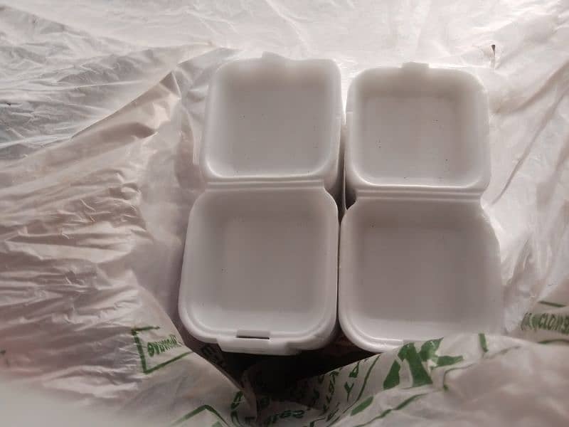 disposable boxes 3