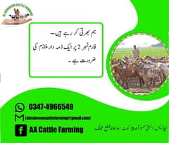 worker required for Bakra farm