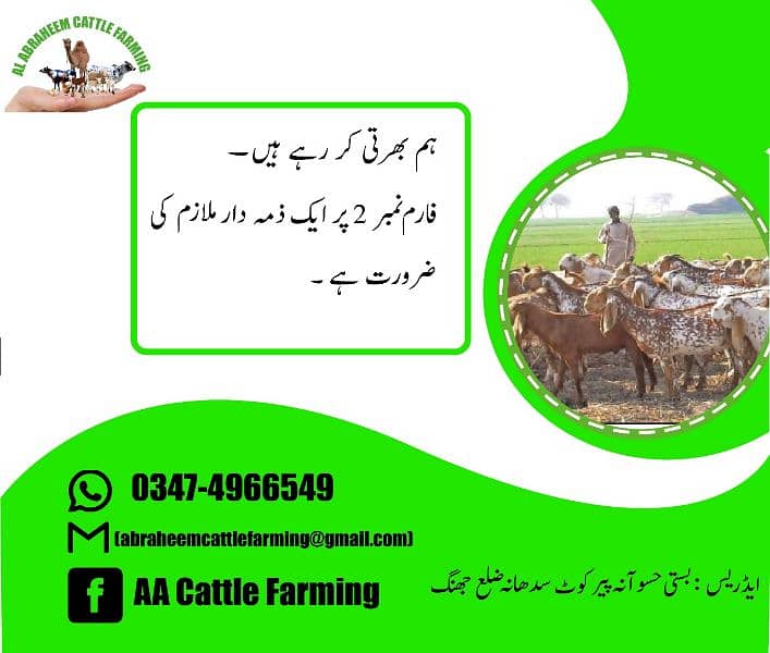 worker required for Bakra farm 0