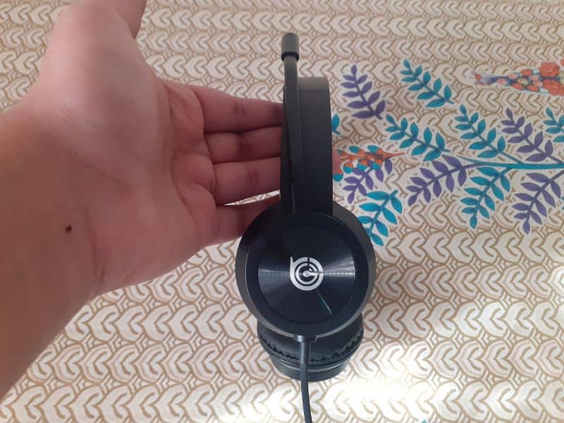 Headphones and Mouse 1