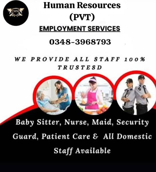 We Provide All type of Staff ,Cook,driver,maid, babysitter, etc 2