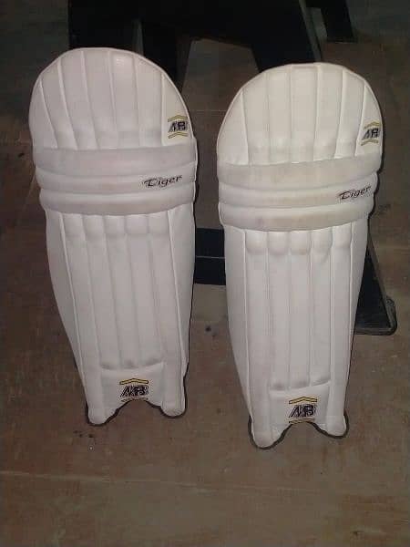 cricket kit for 12-16 year old | cricket equipment 3