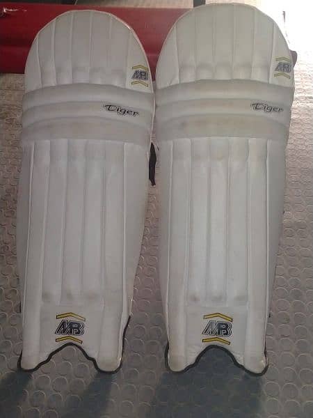 cricket kit for 12-16 year old | cricket equipment 5
