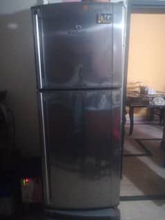 frige  normal size
