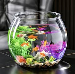 IMPORTED FISH BOWLS WITH FISHES IN STOCK NOW