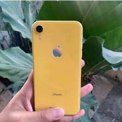 iphone xr NoN PTA 10/9.5 condition
