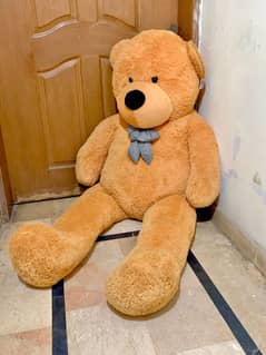 XXL size Teddy Bear for sale 0