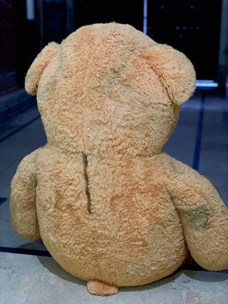 XXL size Teddy Bear for sale 1
