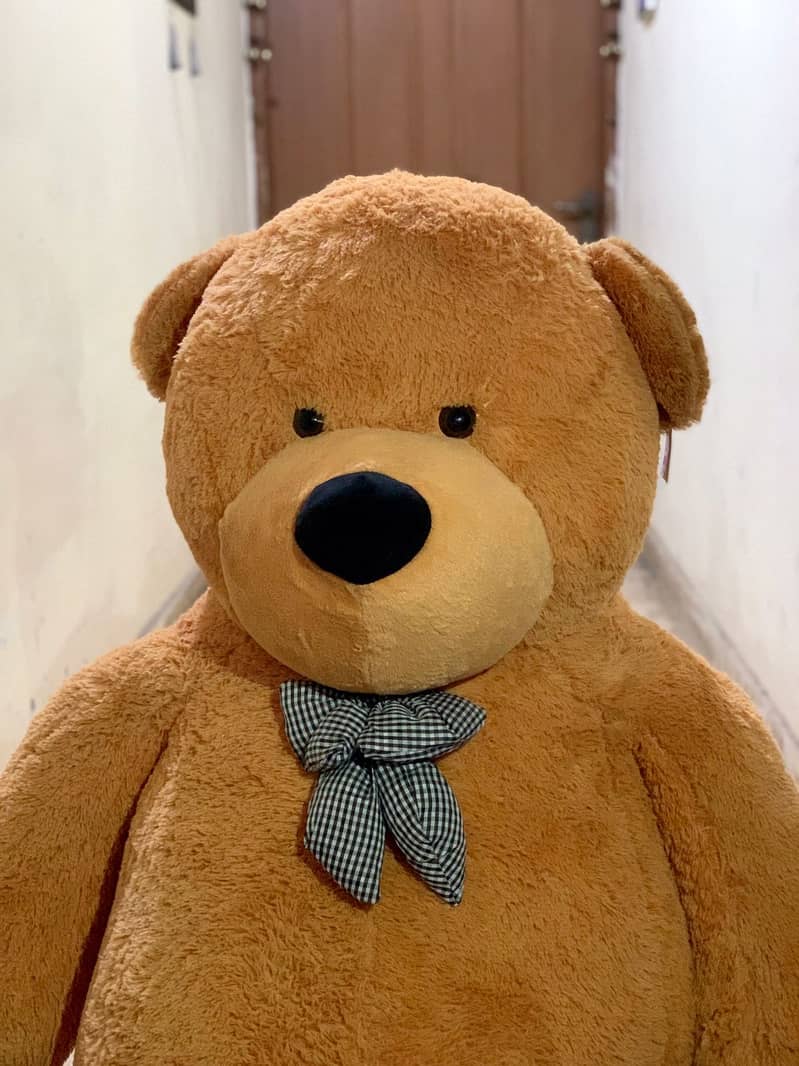 XXL size Teddy Bear for sale 2