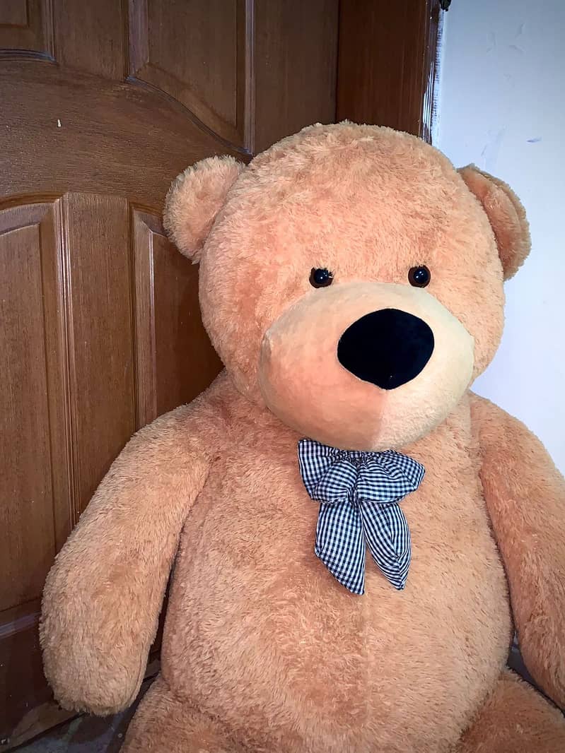 XXL size Teddy Bear for sale 3