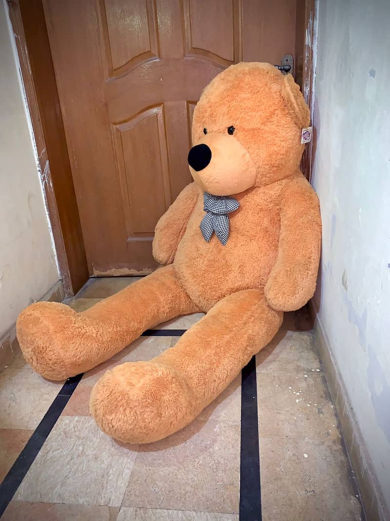 XXL size Teddy Bear for sale 4