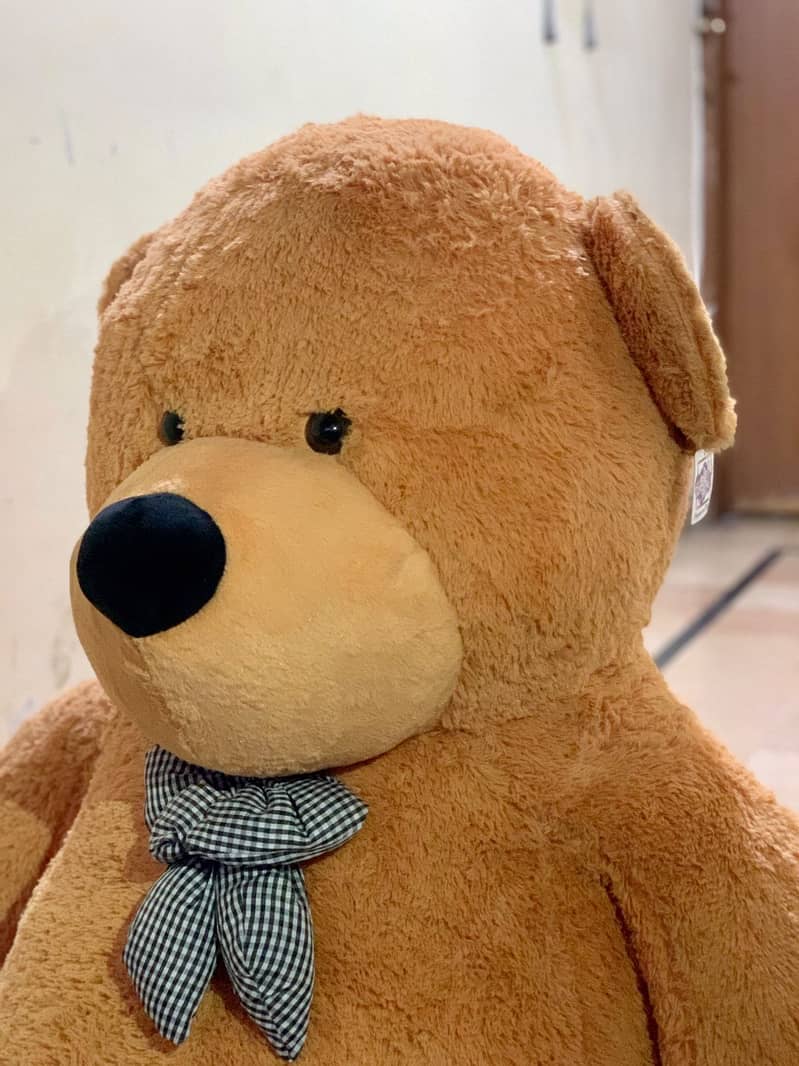 XXL size Teddy Bear for sale 5