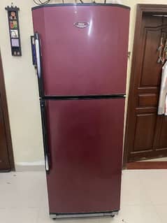 Haier Refrigerator fridge
