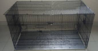 Master cage colony for sales