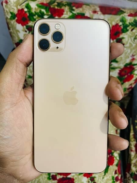 Iphone 11 pro max waterpack 6
