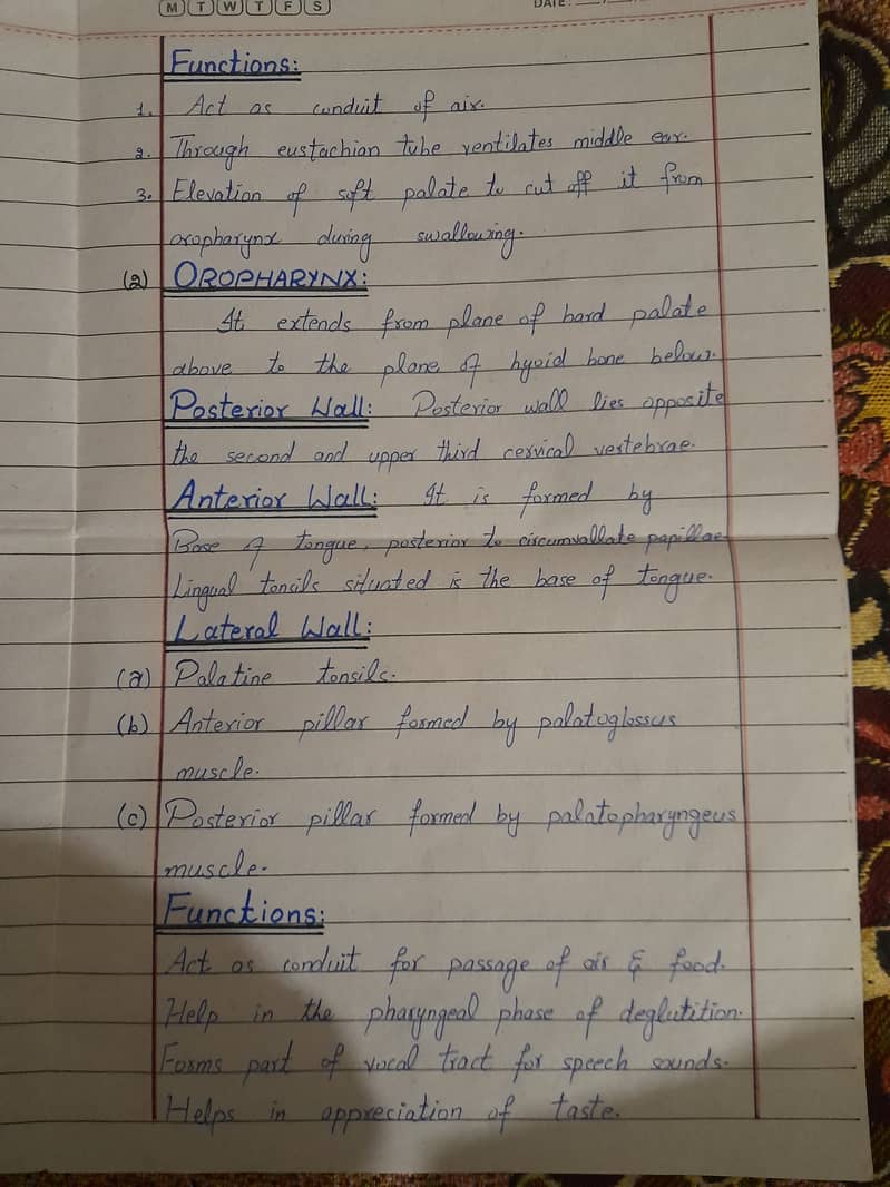 Handwritten Assignment Work 6