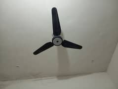 Crown Ceiling Fan 56