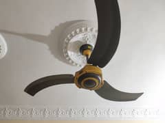 GFC Gallant - ceiling fan with one years warranty.