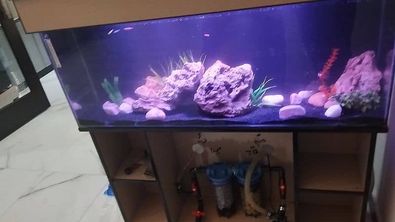 custom aquarium filtration for your aquarium DIY 1