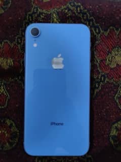 IPHONE XR 128 GB (screen issue)