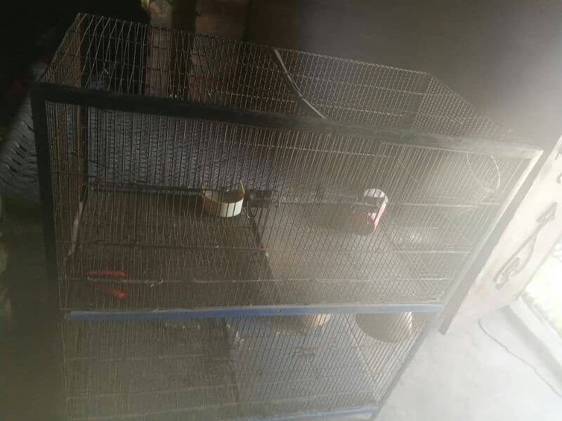 parrot cage for sale 2