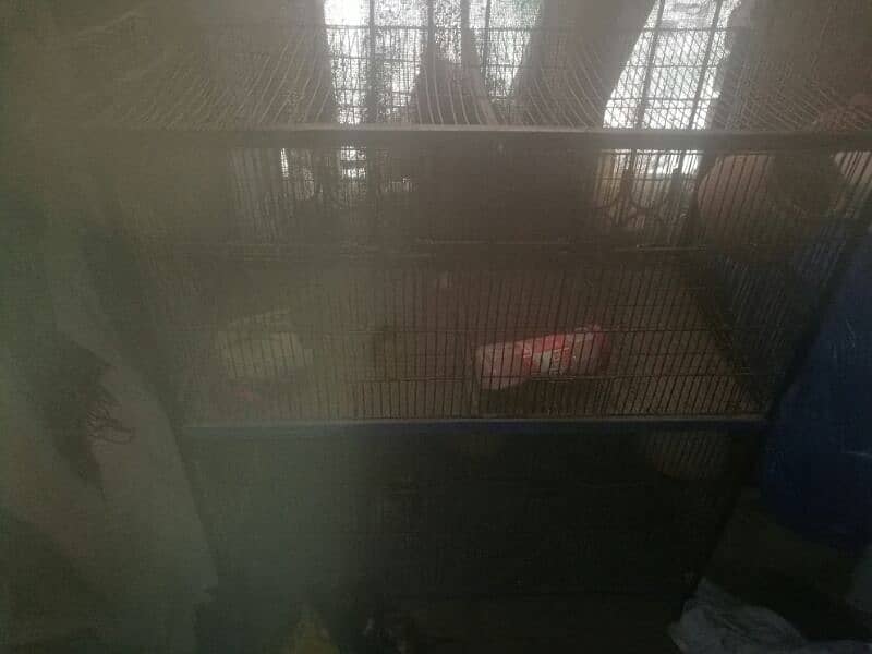 parrot cage for sale 3