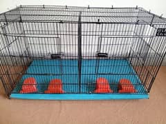 Ali Big size cage(PINJRA) for love bird,cocktail parrots.