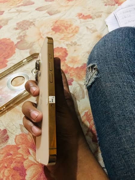 Iphone 13 pro non pta off white colour with golden boarder 1