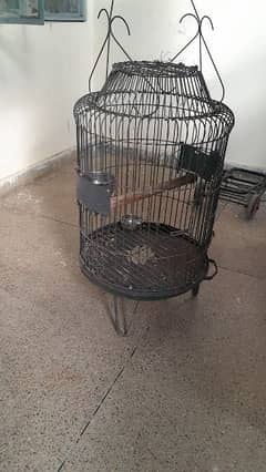 Pahari and grey parrot cage