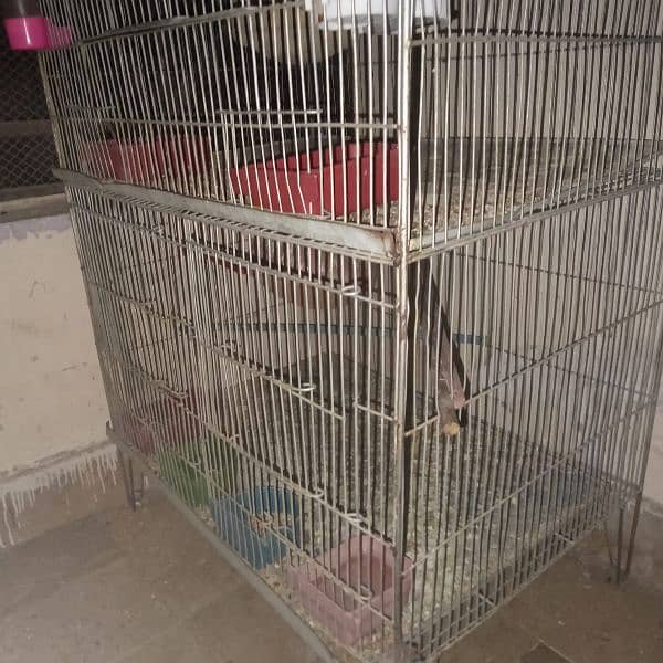 love birds 03178976365and cage 1