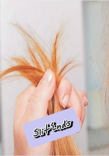 SunSel herbal hair shampoo 3
